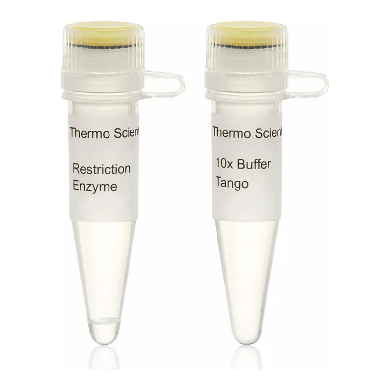 Thermo Fisher Scientific MspI (HpaII) (10 U/μL), 3,000 units