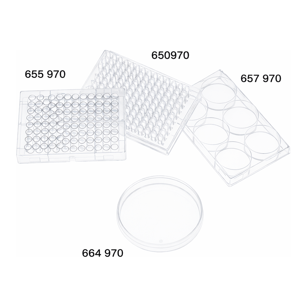Greiner Bio One CELL CULTURE MULTIWELL PLATE, 6 WELL, PS, CLEAR,CELLSTAR®, CELL-REPELLENT SURFACE, LID WITH CONDENSATION RING, STERILE, SINGLE PACKED