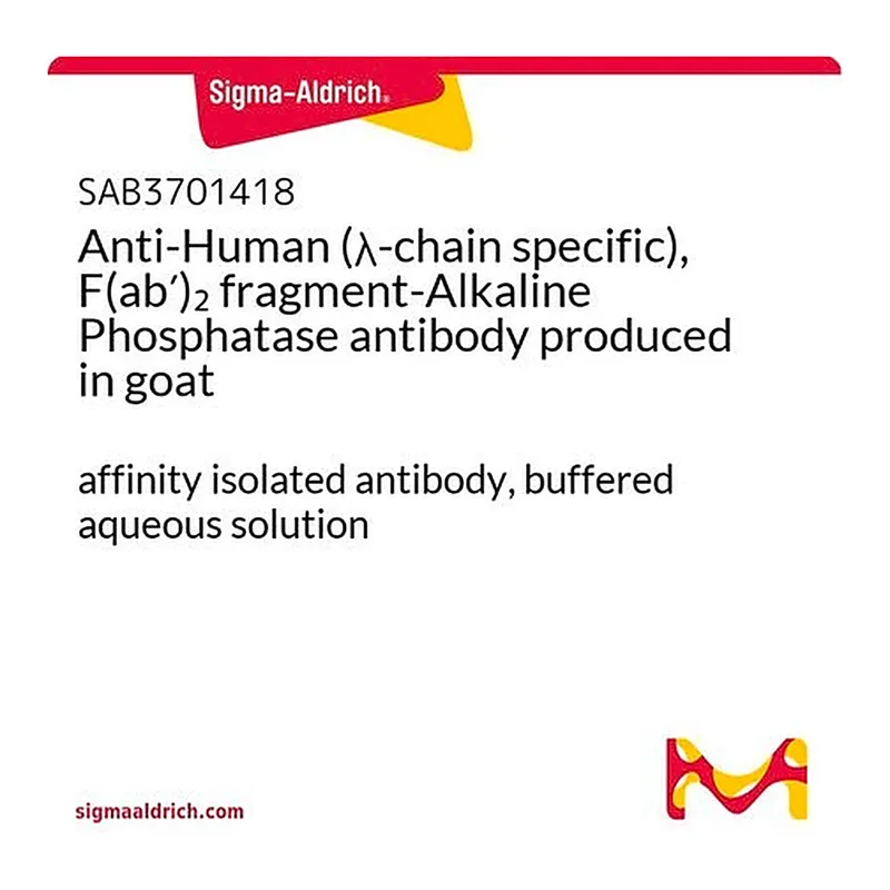 Merck Anti-Human (lambda-chain specific), F(ab')2 fragment-Alkaline Phosphatase antibody produced in goat