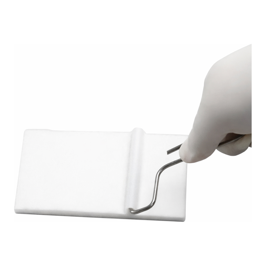 Thermo Fisher Scientific Blotting Roller