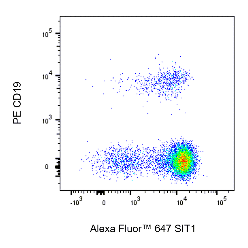 BD Alexa Fluor 647 Mouse Anti-Human SIT