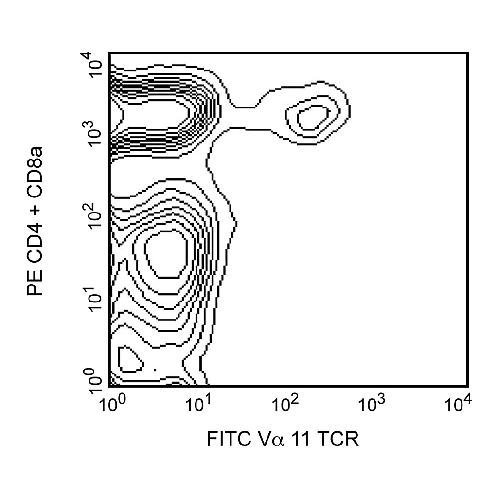 BD FITC Rat Anti-Mouse Vα 11.1, 11.2[b,d] TCR
