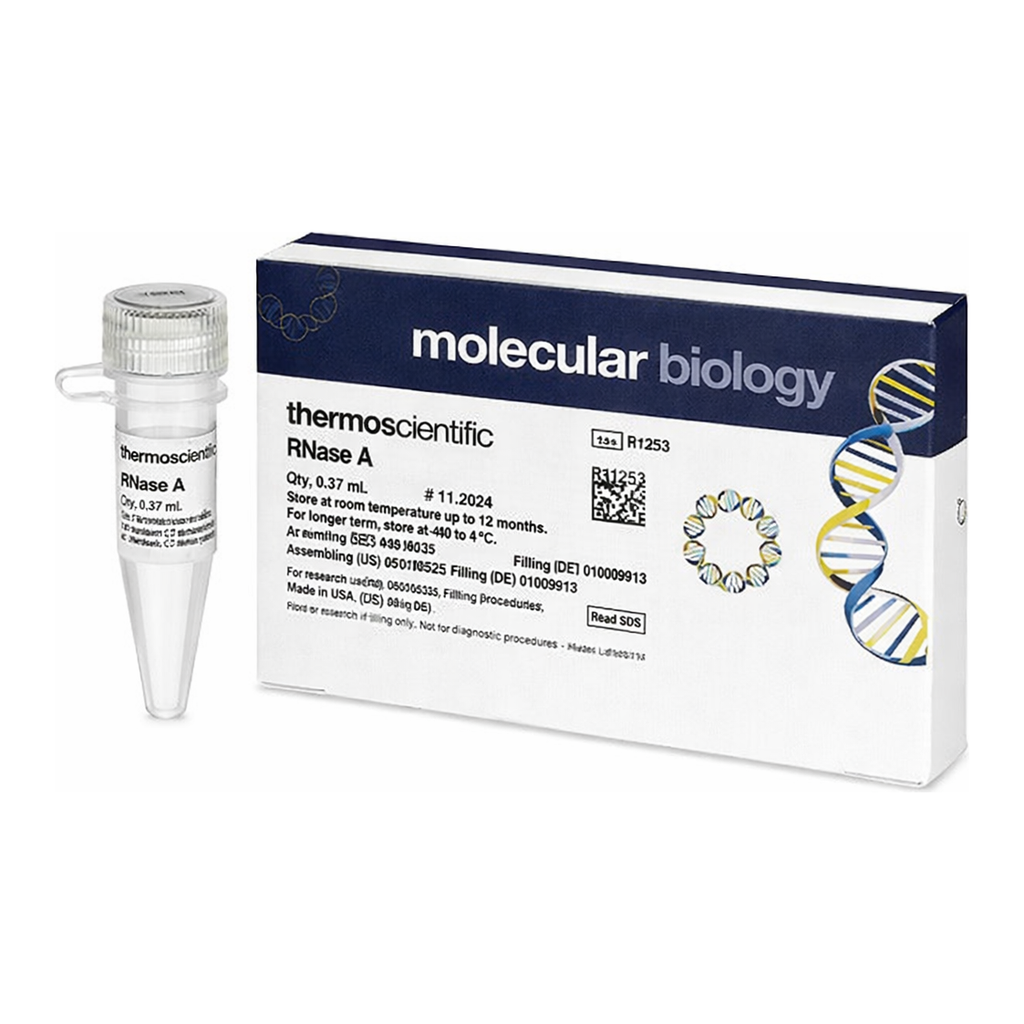 Thermo Fisher Scientific RNase A
