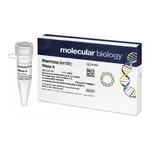 Thermo Fisher Scientific RNase A