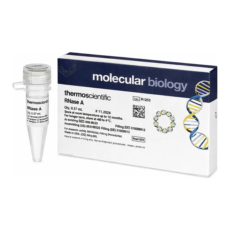 Thermo Fisher Scientific RNase A