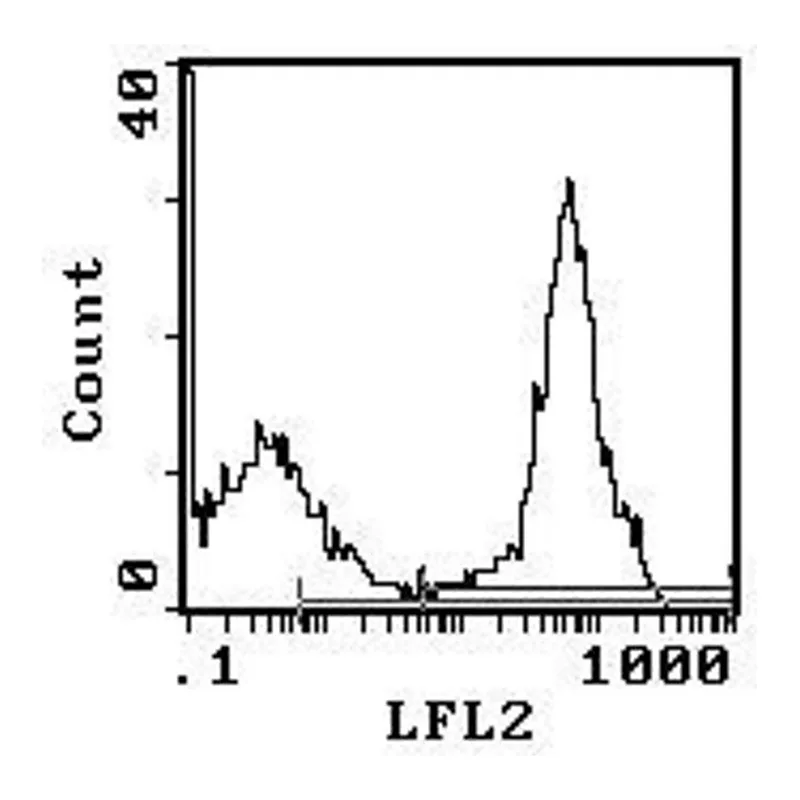 Thermo Fisher Scientific Mouse anti-Rat Kappa Light Chain Secondary Antibody, PE