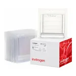 Thermo Fisher Scientific Novex TBE-Urea Gels, 15%, 12-well, 10 Gels/Box
