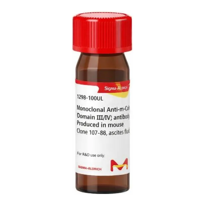 Merck Monoclonal Anti-m-Calpain (Domain III/IV) antibody produced in mouse