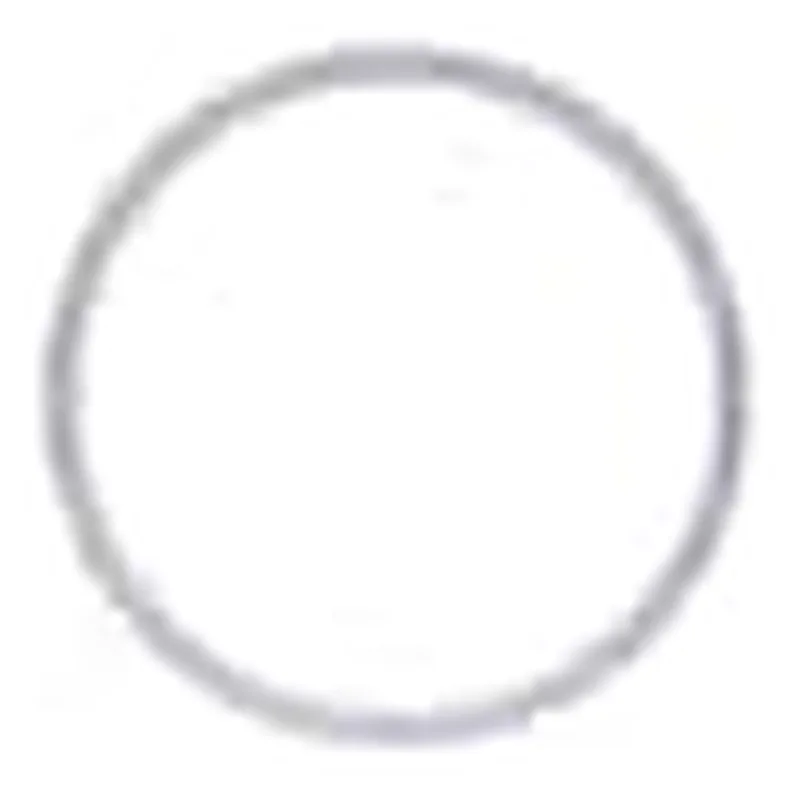 Waters O-Ring, FKM, 2-030