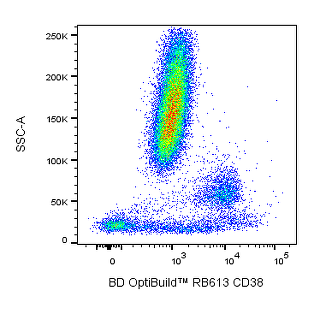 BD RB613 Mouse Anti-Human CD38