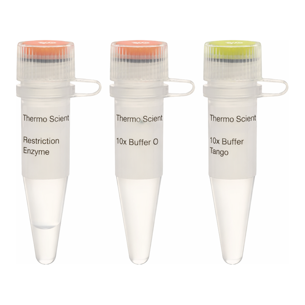 Thermo Fisher Scientific NdeI (10 U/&mu;L), 500 units