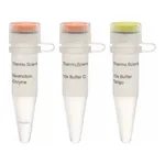 Thermo Fisher Scientific NdeI (10 U/μL), 500 units