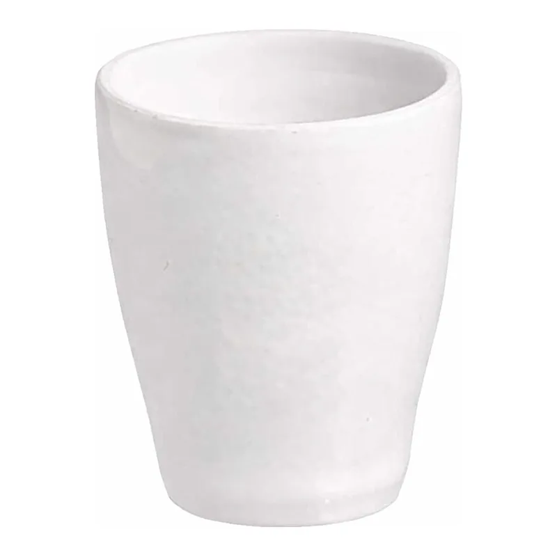 Thermo Fisher Scientific Porcelain Crucibles with Filtering Discs, Very Fine, 25mL