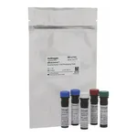Thermo Fisher Scientific eBioscience Essential Human T-Cell Phenotyping Panel