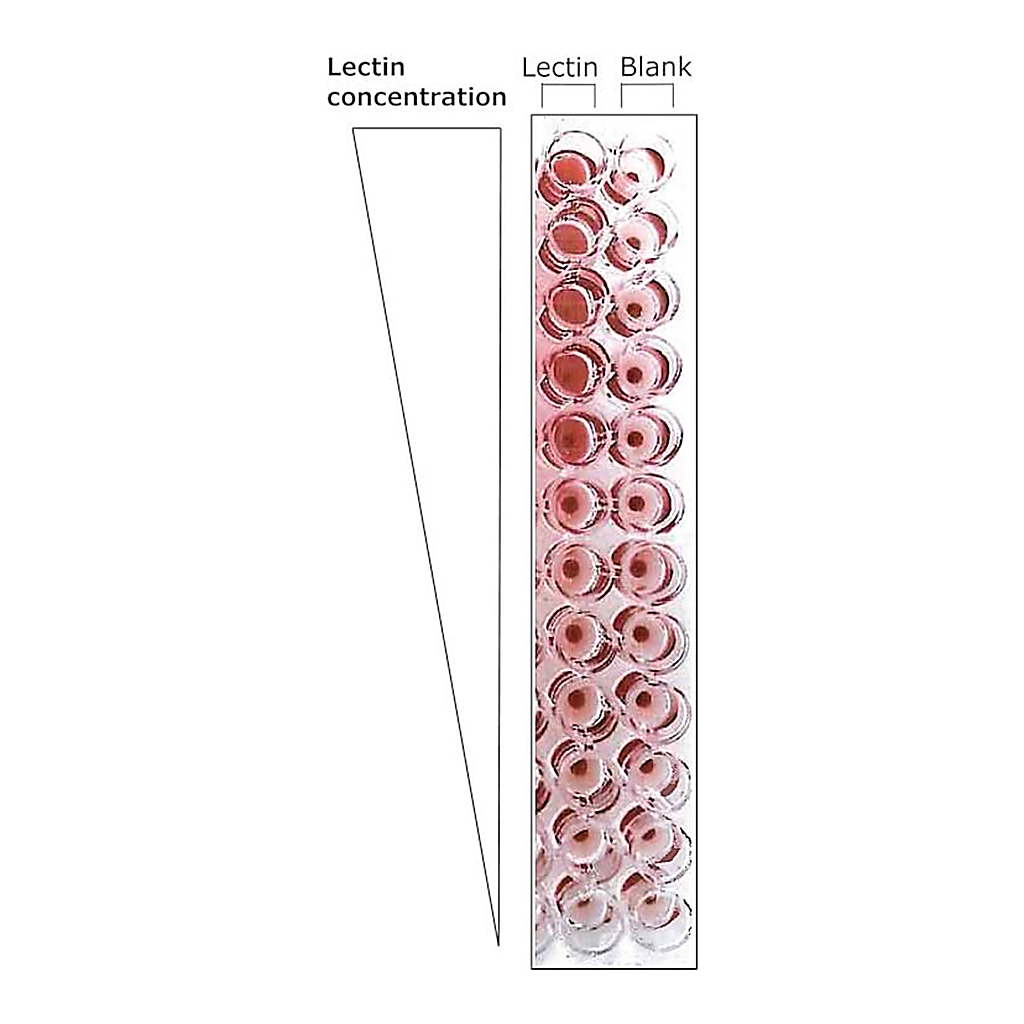 Merck LECTIN FROM BANDEIRAEA SIMPLICIFOLIA BS-