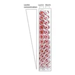 Merck LECTIN FROM BANDEIRAEA SIMPLICIFOLIA BS-