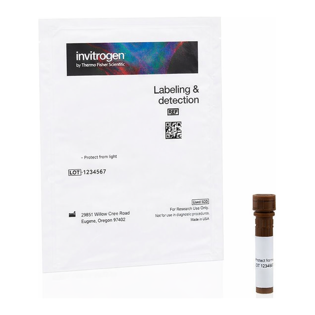 Thermo Fisher Scientific Lens Culinaris (Edible Lentil) Agglutinin (LCA), fluorescein (FITC)