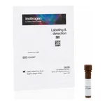 Thermo Fisher Scientific Lens Culinaris (Edible Lentil) Agglutinin (LCA), fluorescein (FITC)