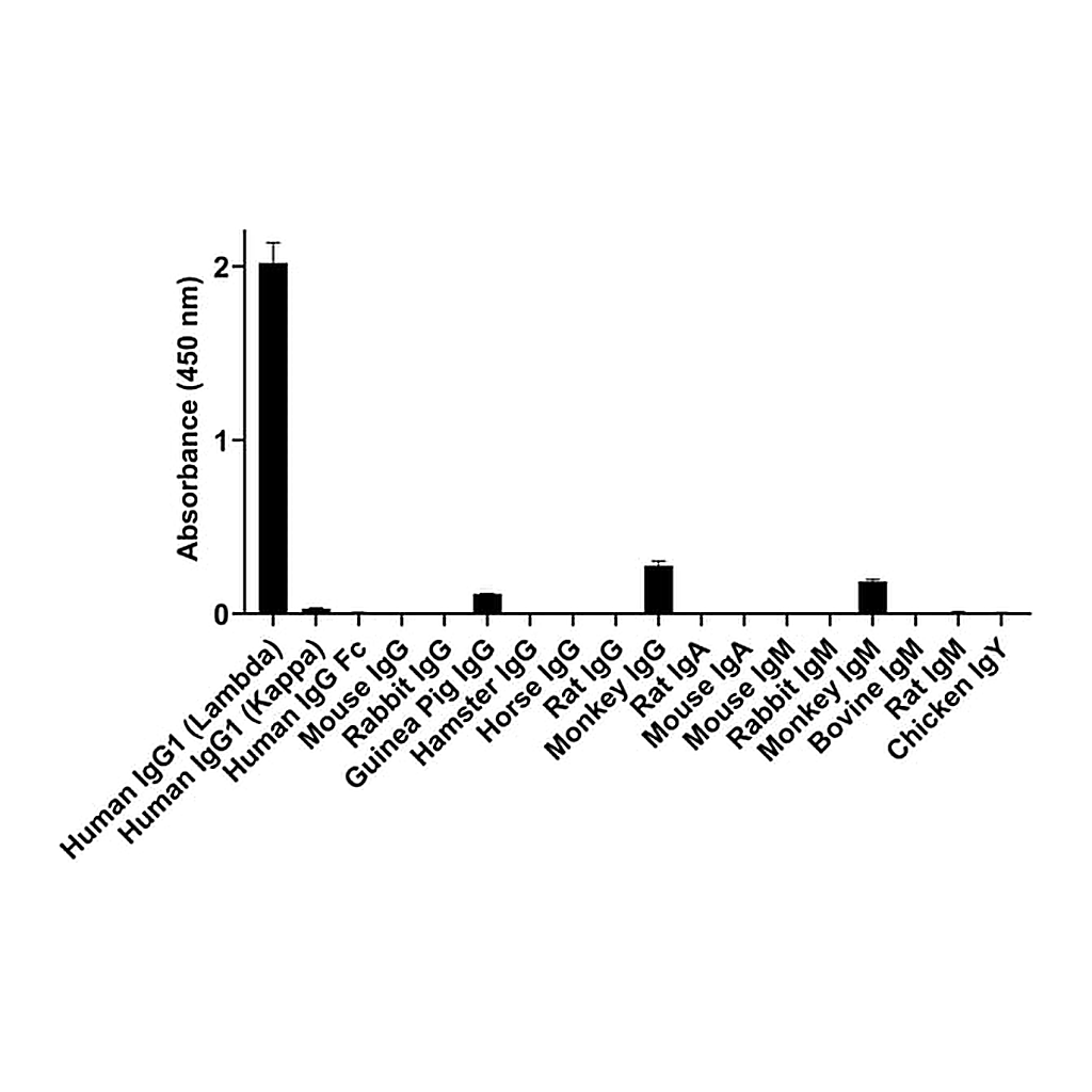 Thermo Fisher Scientific Goat anti-Human IgG (Lambda Light Chain) Recombinant Secondary Antibody, Alexa Fluor Plus 488
