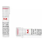 Merck MISSION(R) esiRNA