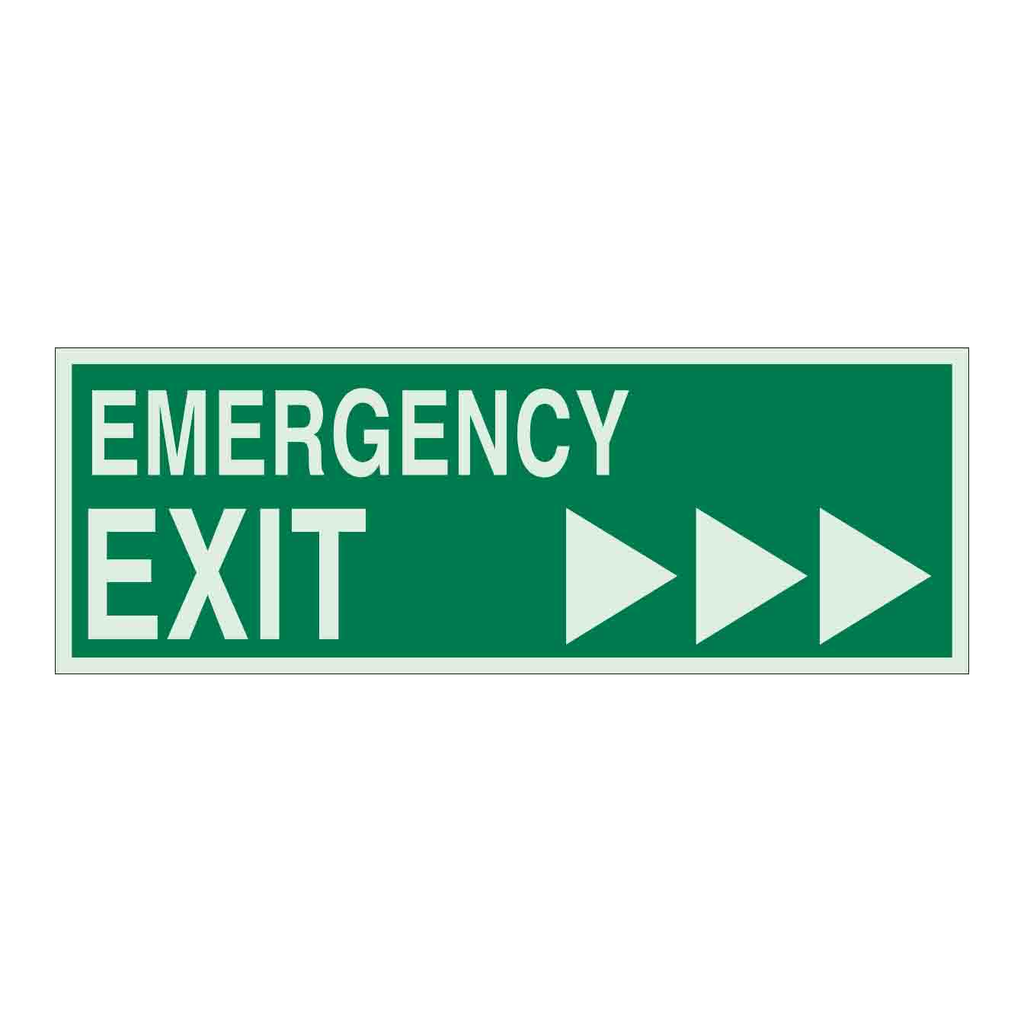 Brady BradyGlo EMERGENCY EXIT Sign