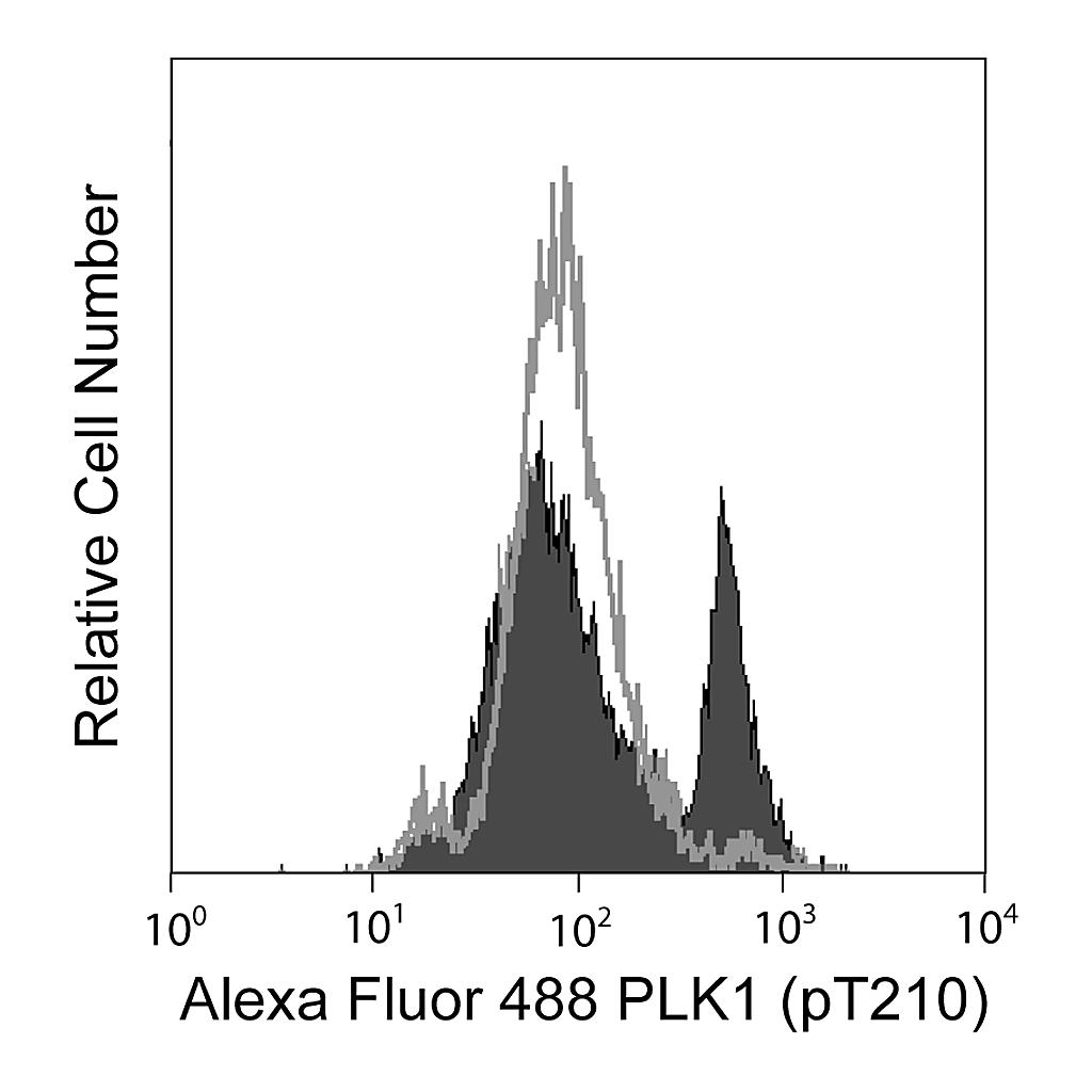 BD Alexa Fluor® 488 Mouse anti-PLK1 (pT210)