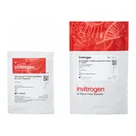 Thermo Fisher Scientific NanoOrange Protein Quantitation Kit, 200-2,000 assays