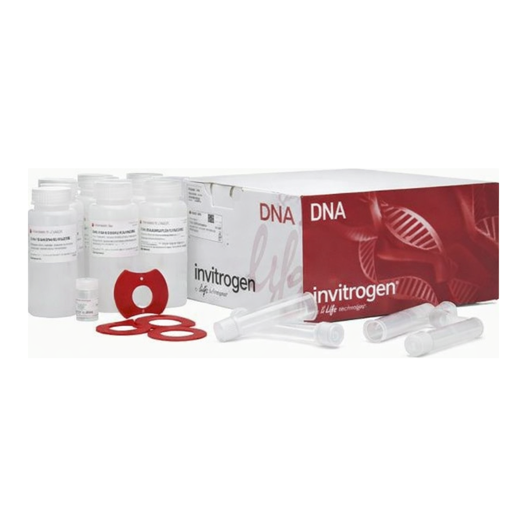 Thermo Fisher Scientific PureLink HiPure Plasmid Midiprep Kit, 25 Preps
