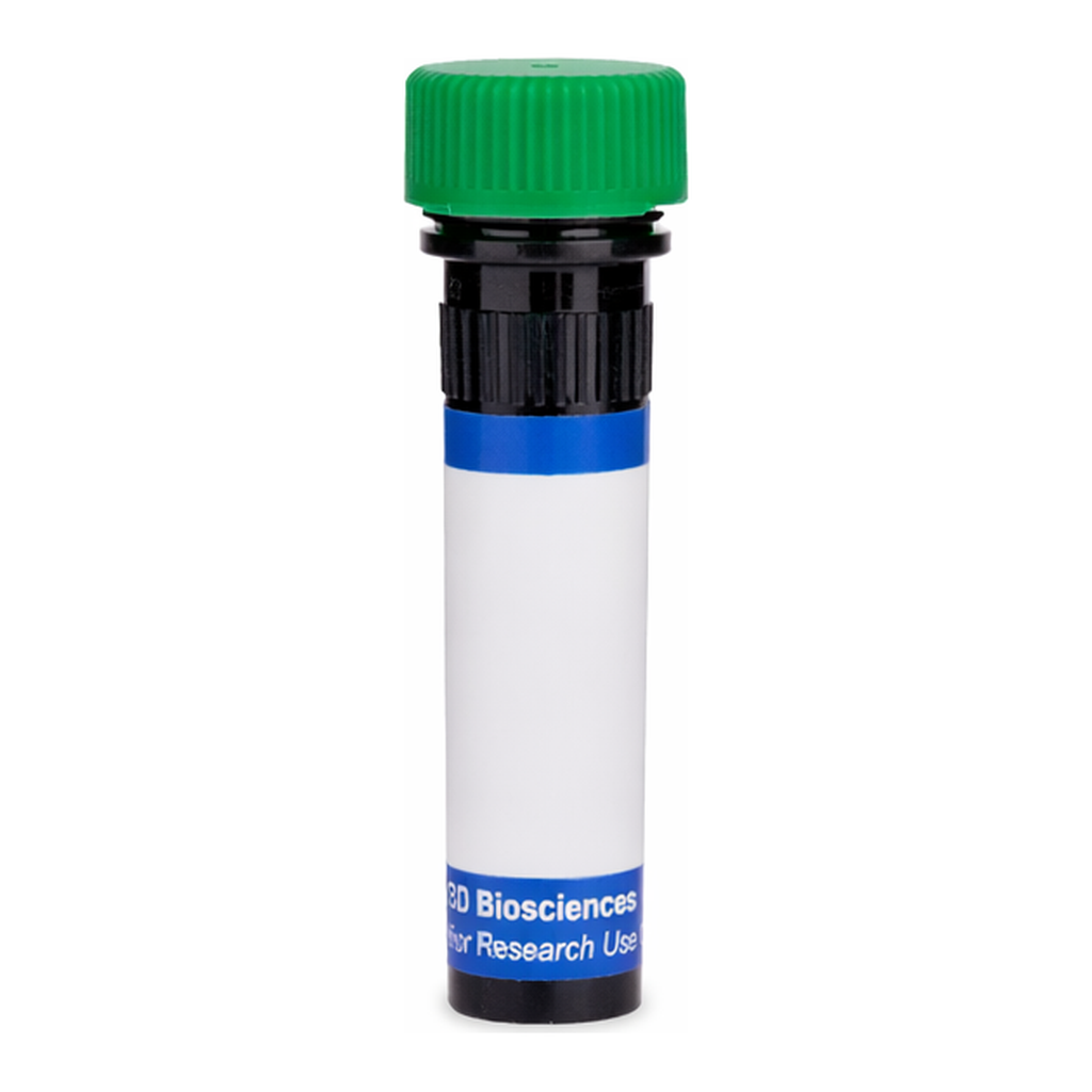 BD RB545 Mouse Anti-Human Carbonic Anhydrase IX