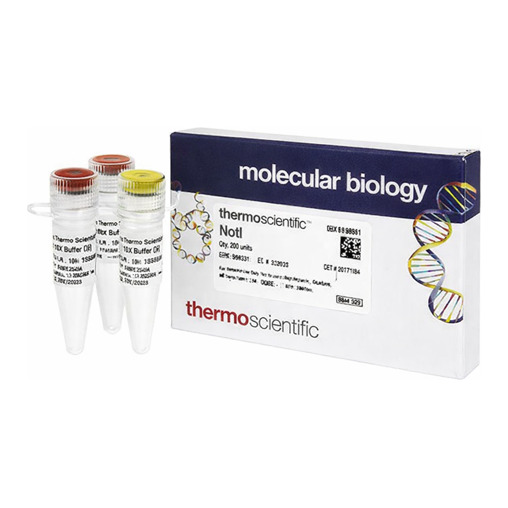 Thermo Fisher Scientific NotI (10 U/&mu;L), 300 units