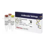 Thermo Fisher Scientific NotI (10 U/μL), 300 units