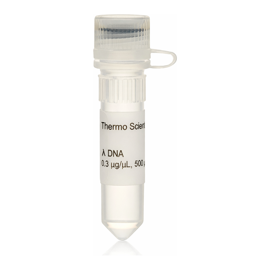 Thermo Fisher Scientific Lambda DNA