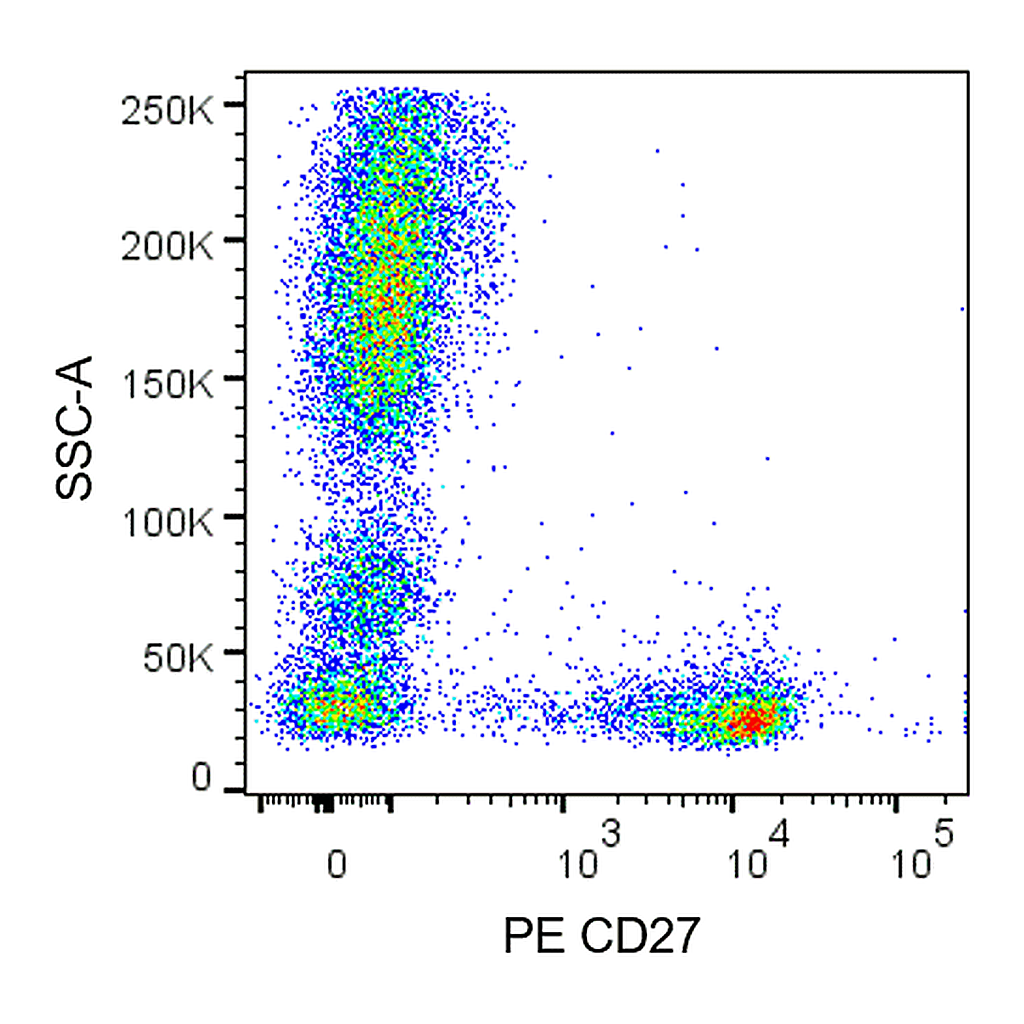 BD PE Mouse Anti-Human CD27