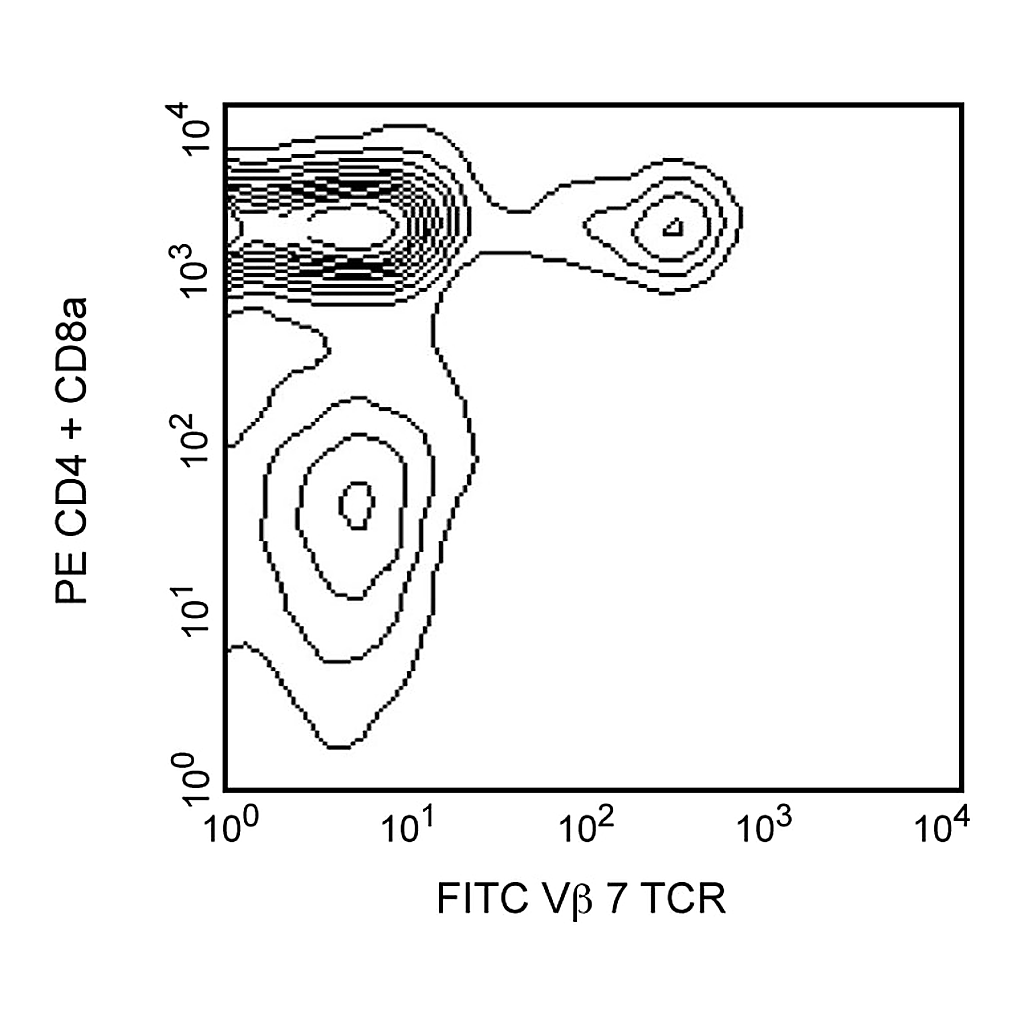 BD FITC Rat Anti-Mouse Vβ 7 T-Cell Receptor