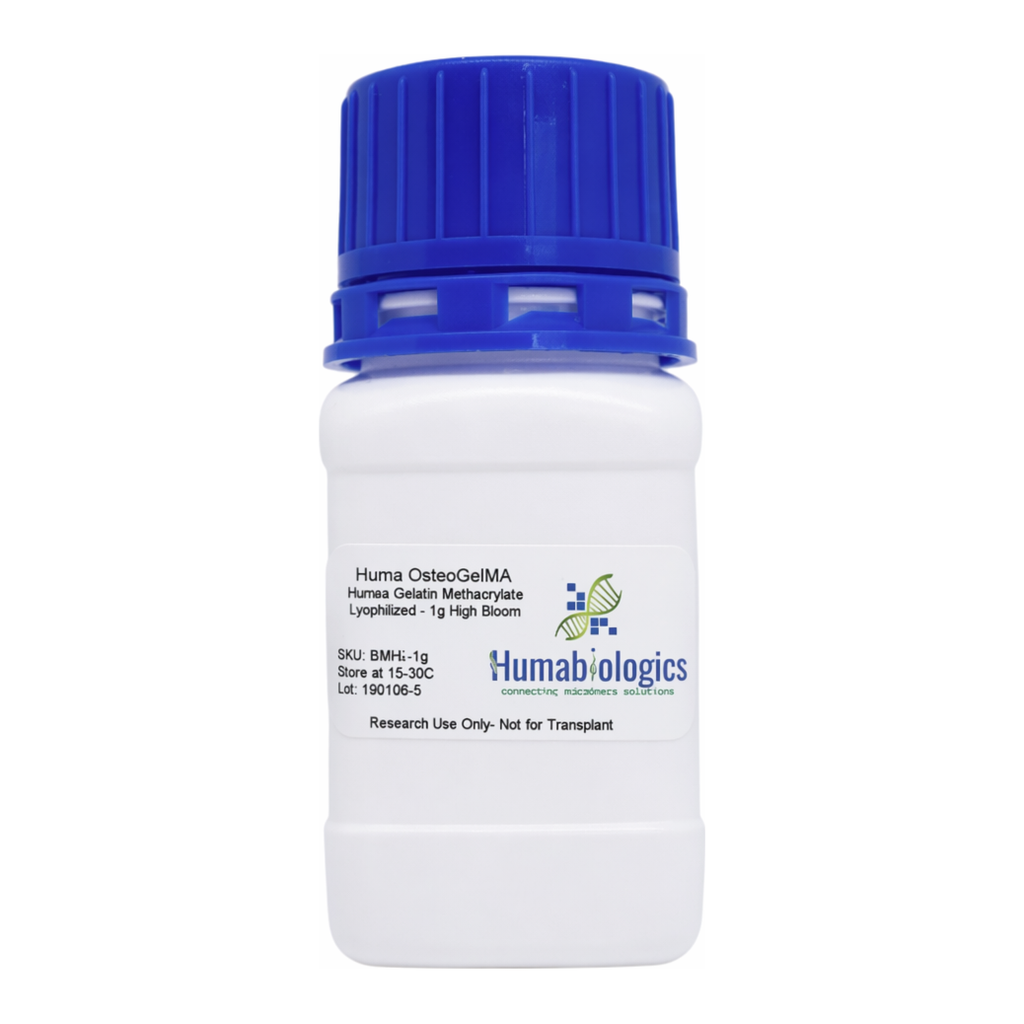 Humabiologics Huma OsteoGelMA- Human Gelatin Methacrylate, Lyophilized (BMHL/BMML)