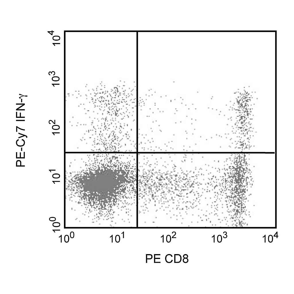 BD PE-Cy7 Mouse Anti-Human IFN-γ
