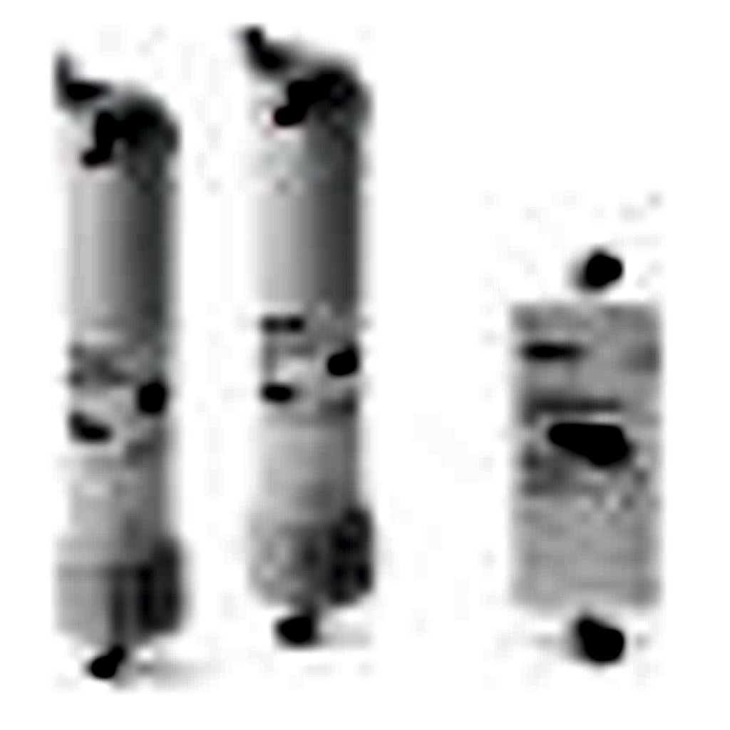 [정수기 부품] Consumables package for Arium® Comfort I, models H2O-I-2-UV-B|T, H2O-I-2-TOC-B|T