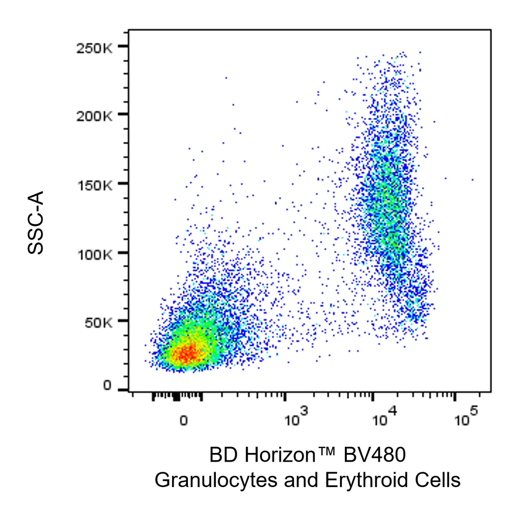 BD BV480 Mouse Anti-Rat Granulocytes and Erythroid Cells