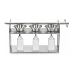 Sampling Systems Emptying Rack