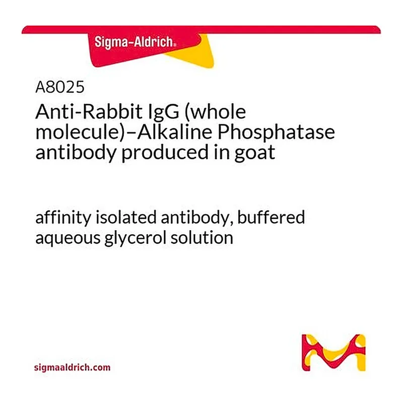 Merck Anti-Rabbit IgG (whole molecule)-Alkaline Phosphatase antibody produced in goat