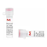 Merck MISSION(R) esiRNA