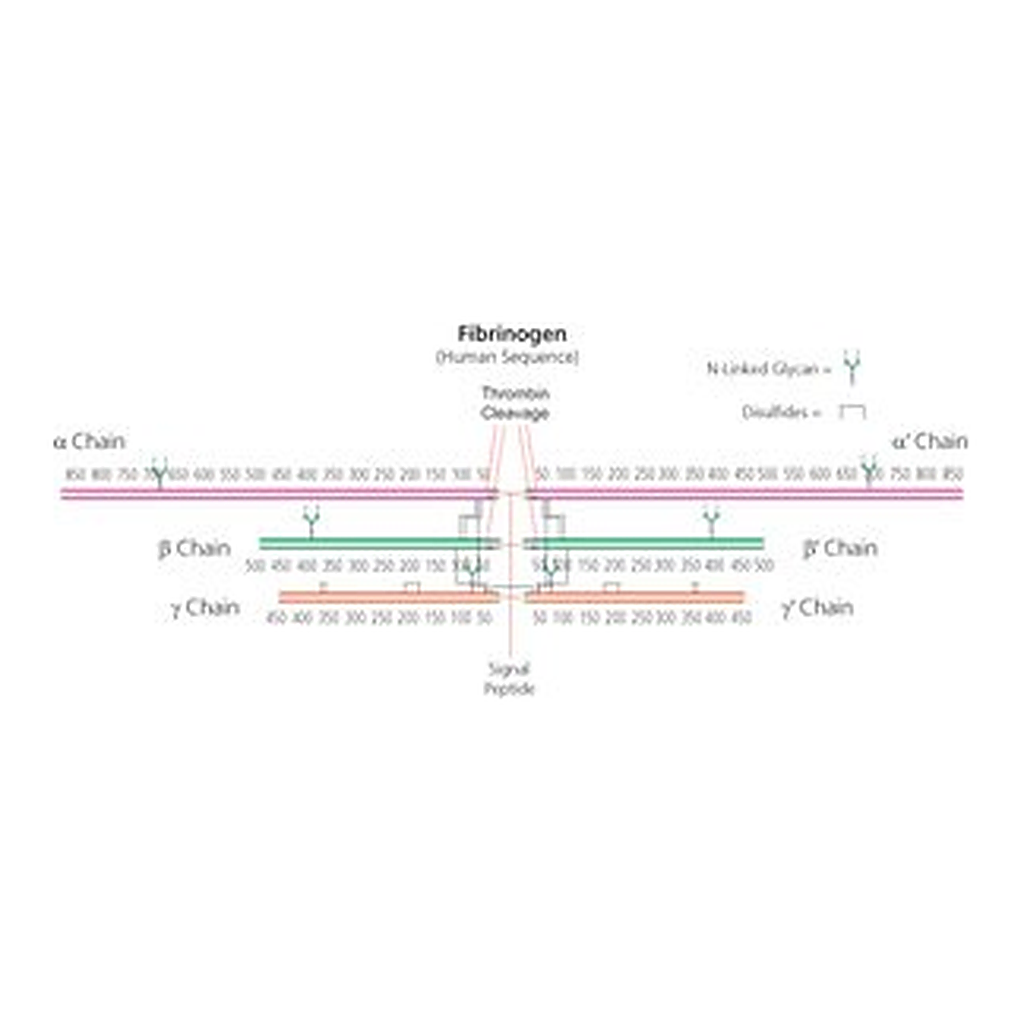 Merck FIBRINOGEN TYPE I-S: FROM BOVINE PLASMA