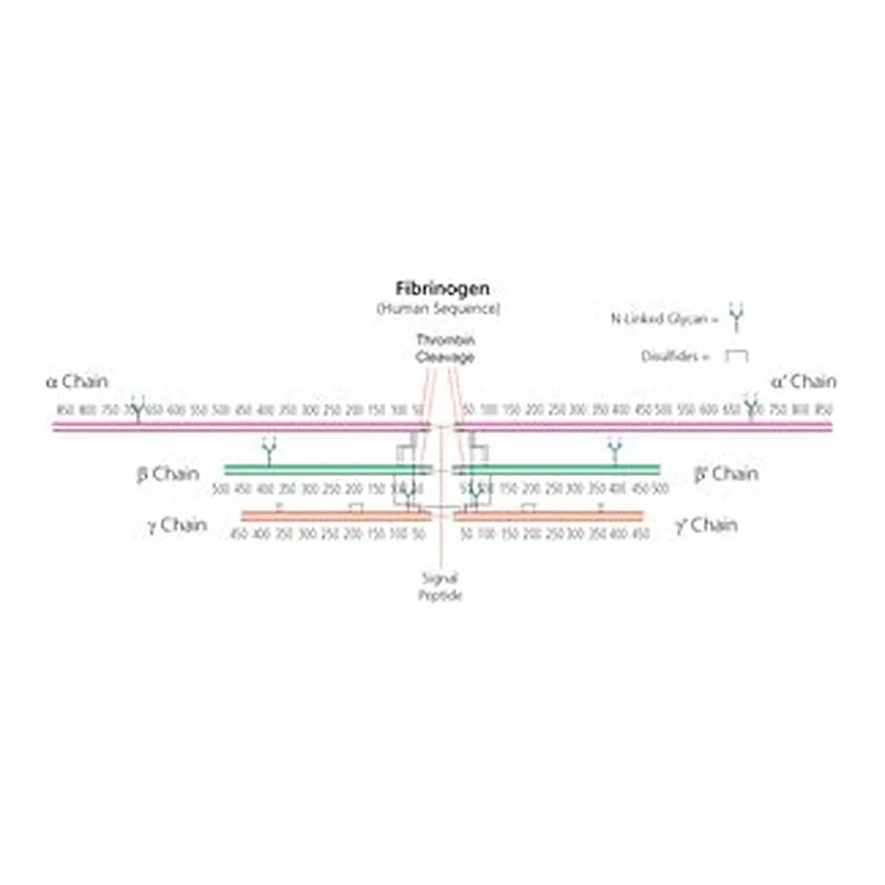 Merck FIBRINOGEN TYPE I-S: FROM BOVINE PLASMA