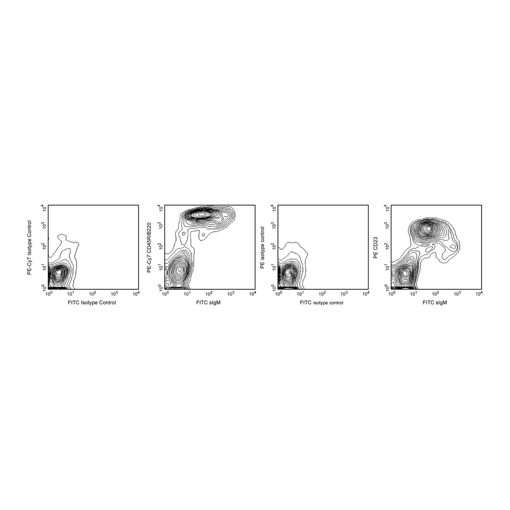 BD Mouse B Lymphocyte Subset Antibody Cocktail, with Isotype Control; PE-Cy7 CD45R/B220, PE CD23 (FcεRII), and FITC sIgM