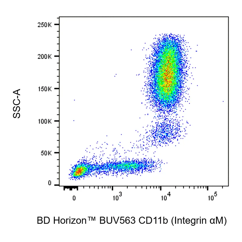 BD BUV563 Mouse Anti-Human CD11b (Integrin αM)
