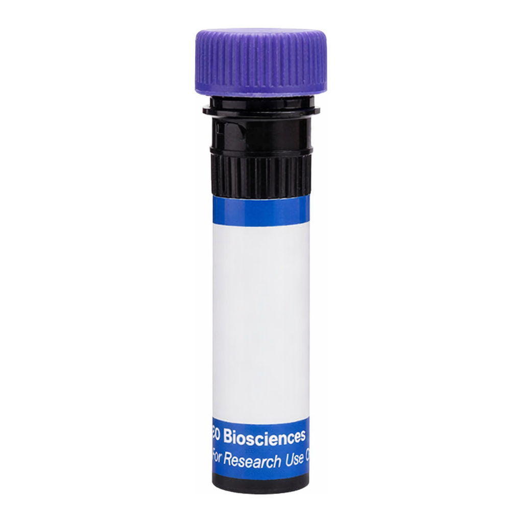 BD RB744 Hamster Anti-Mouse CD154 (CD40 Ligand)