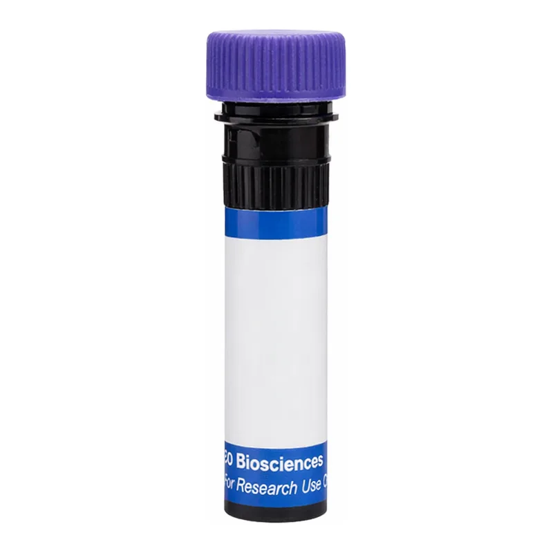 BD RB744 Hamster Anti-Mouse CD154 (CD40 Ligand)