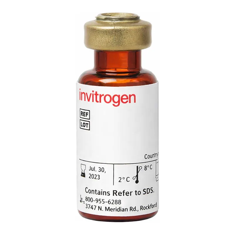 Thermo Fisher Scientific Streptavidin, 1 mg