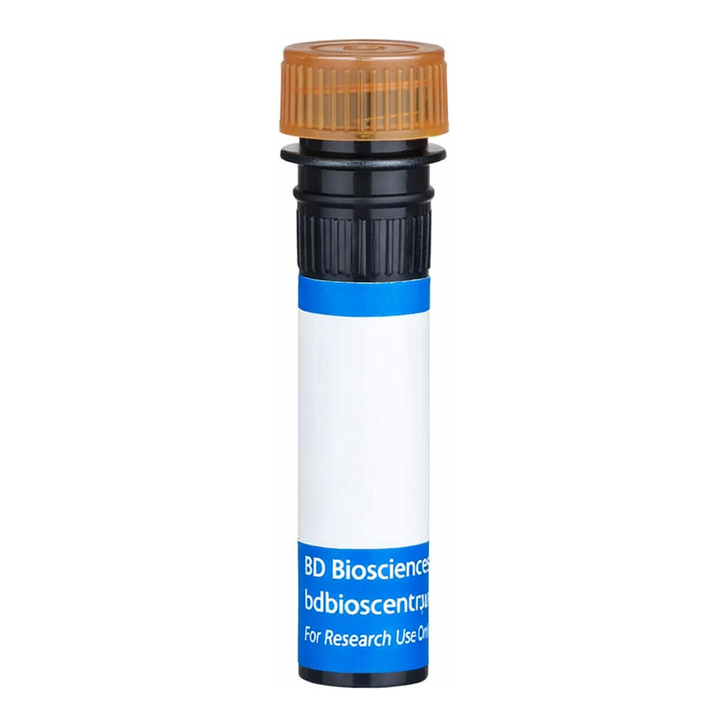 BD RB705 Mouse Anti-Human Chondroitin Sulfate (NG2)
