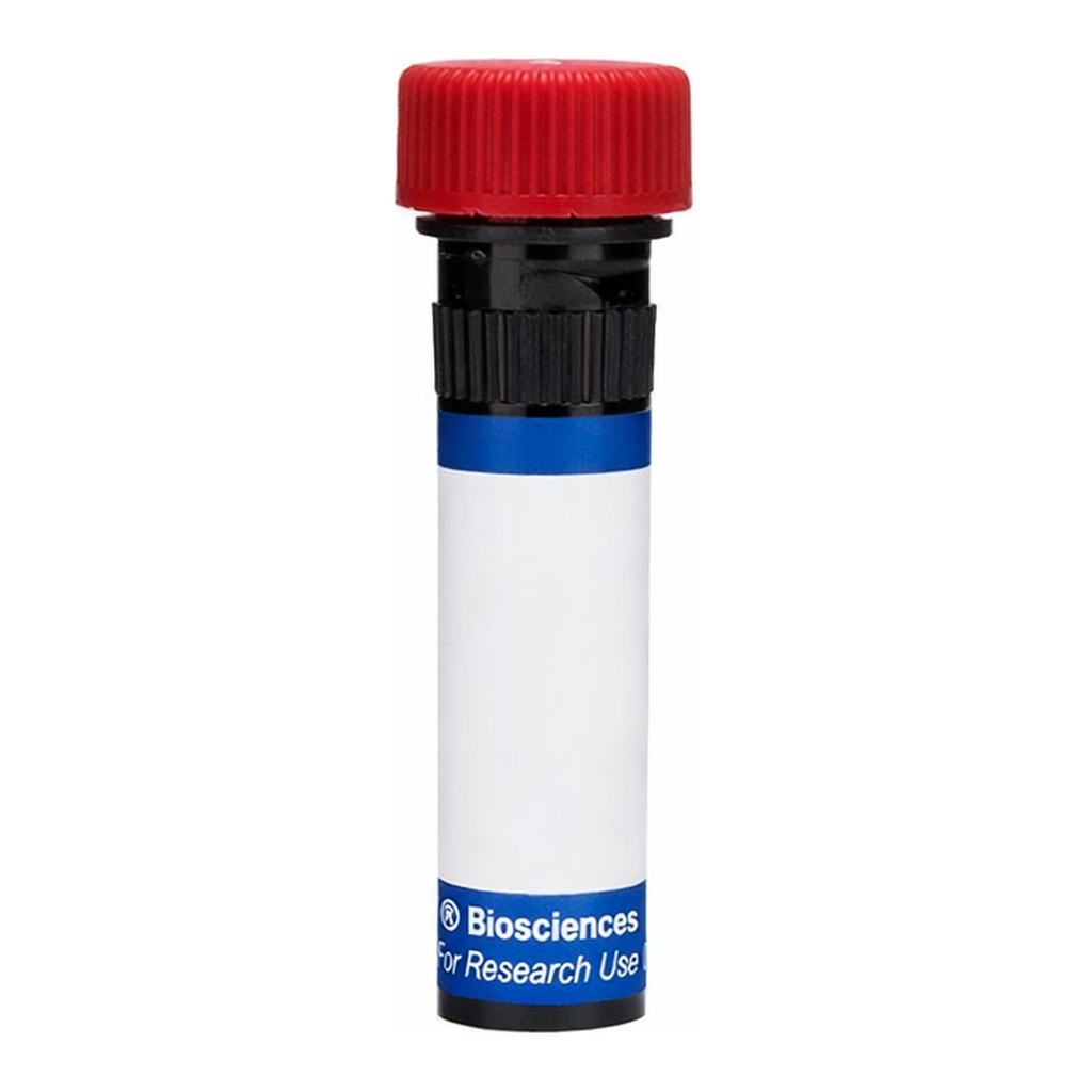 BD RB670 Mouse Anti-Human EGF Receptor